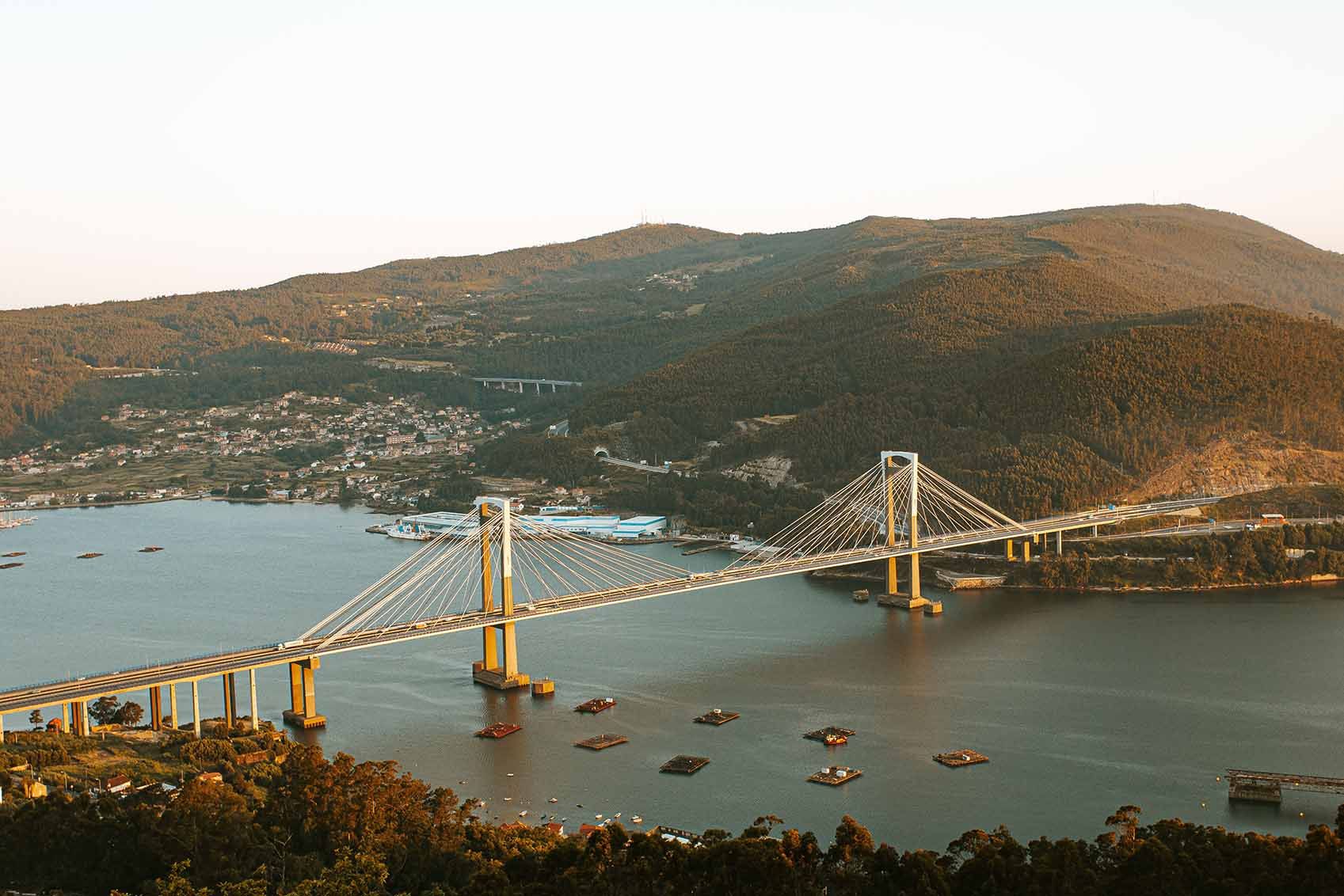 Vigo